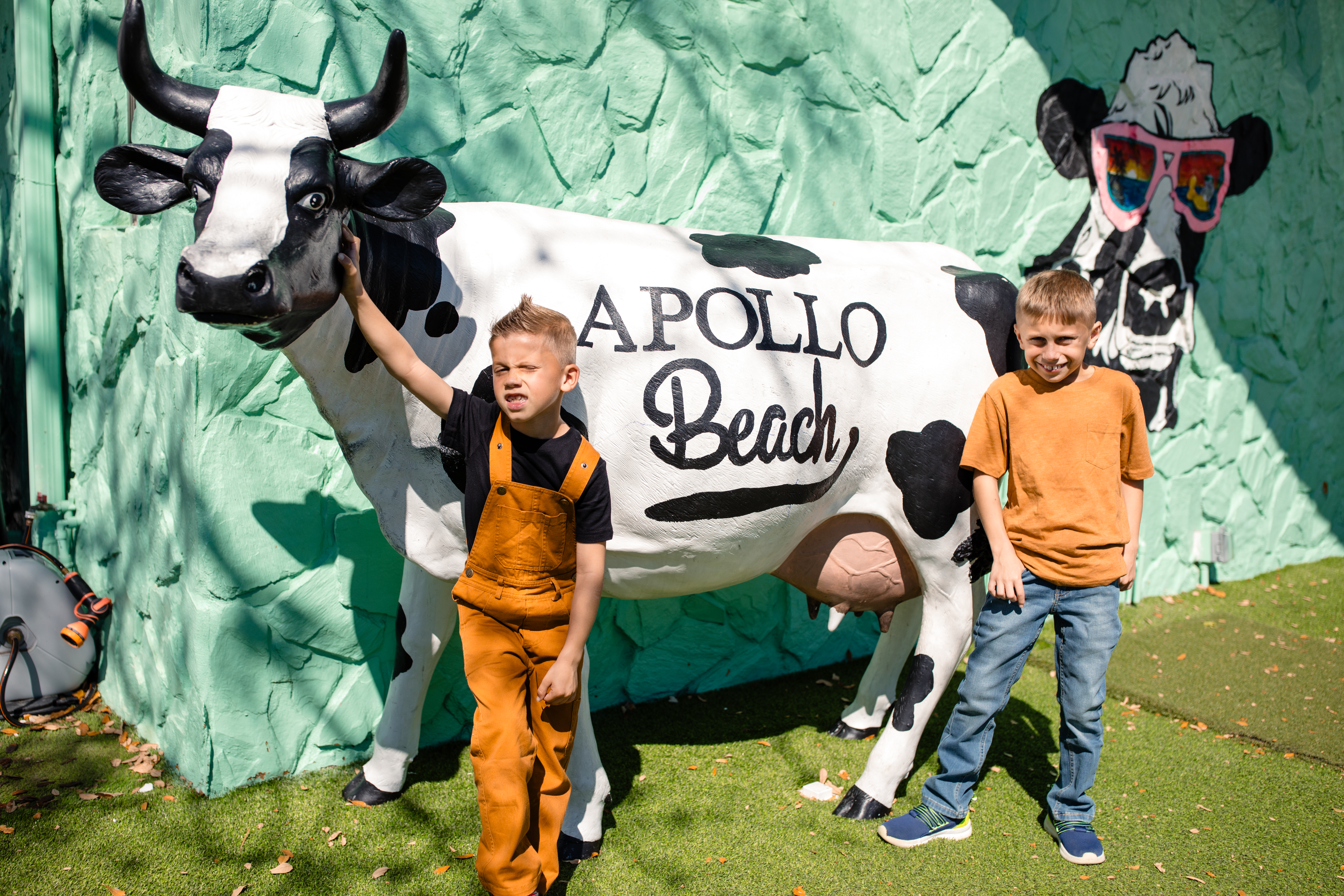 American Honey customers